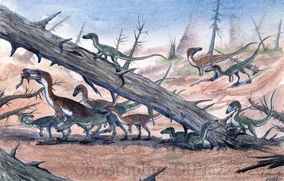 Una banda de Coelophysis de distintas edades recorren la cuenca de un río durante una sequía. 

(Crédito: Christopher Dipiazza).