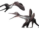 Pterodactylus