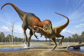 03tb-tiny-tyrannosaur-01-bzht-jumbo