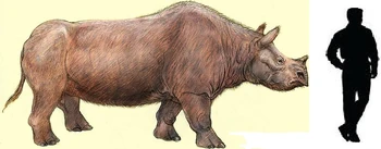 Aphelops | Prehistoria Fandom | Fandom