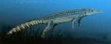 Chenanisuchus BW