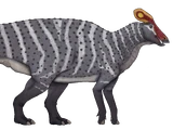 Tlatolophus