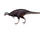 Dysalotosaurus
