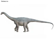 Saltasaurus1.png (523 kB)