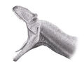 La amplitud de las mandíbulas del Allosaurus era enorme