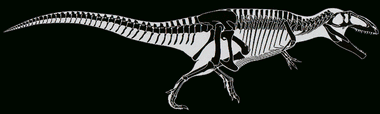 Giganotosaurus.gif