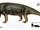 Admetophoneus