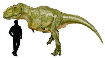 Aucasaurus