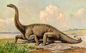 Diplodocus | Prehistoria Fandom | Fandom