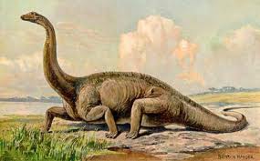 Diplodocus | Prehistoria Fandom | Fandom Diplodocus | Prehistoria Fandom | Fandom