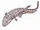 Iberospondylus