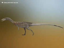 Coelophysis bauri paleohistoric by paleohistoric dgaxra4-fullview