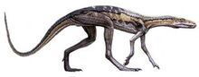 Lagosuchus-0