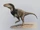 Dubreuillosaurus