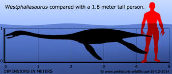 Westphaliasaurus