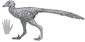 Daliansaurus reconstruction