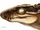 Ogresuchus