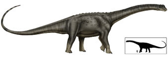 Puertasaurus copia