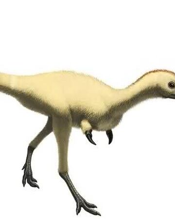 Achillesaurus2.jpg