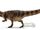 Blog de Jason/Carcharodontosaurus