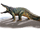 Arenysuchus