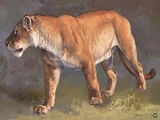 Panthera atrox