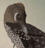 Velociraptor | Prehistoria Fandom | Fandom