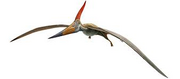 Pteranodon.3.png