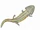 Pelorocephalus