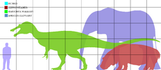 BARYONYX COMPARISON.png