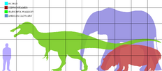 BARYONYX COMPARISON