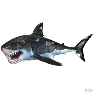 Megalodon.png