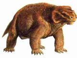 Pareiasaurus