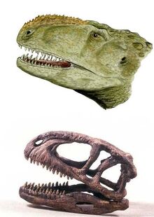 Abelisaurus cabeza.jpg
