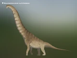 Brachiosaurus