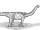 Epachthosaurus