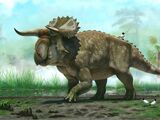 Nasutoceratops