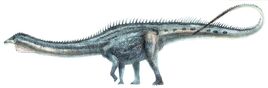 Rebbachiosaurus
