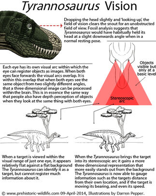 Tyrannosaurus-vision.jpg