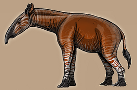 Victorlemoinea