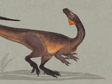 Guaibasaurus