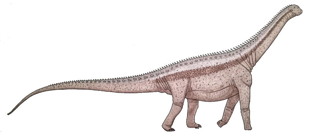 Yongjinglong Prehistoria Fandom Fandom