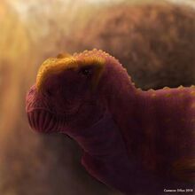 Thanos simonattoi | Prehistoria Fandom | Fandom