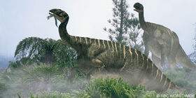 Plateosaurus-800
