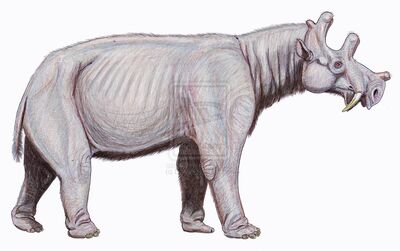Eobasileus