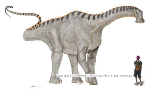 Nigersaurus Taqueti