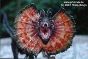 Dilophosaurus JP.jpg