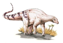 Brachytrachelopan