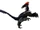 Luanchuanraptor