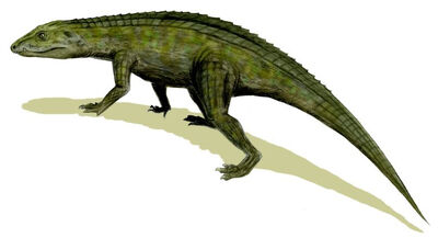 Protosuchus BW